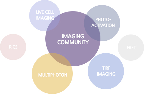 IMAGING COMMUNITY는 LIVE CELL IMAGING, PHOTO-ACTIVATION,TIRF IMAGING, MULTIPHOTON, RICS, FRET 로 구분됩니다.